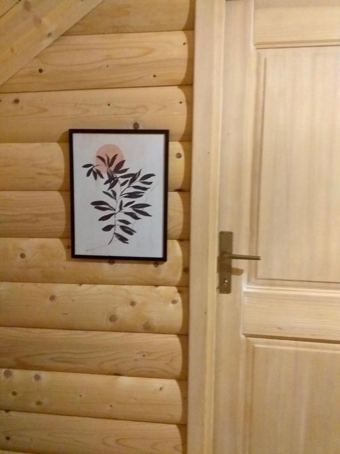Rustic House Villa Kolašin Екстериор снимка